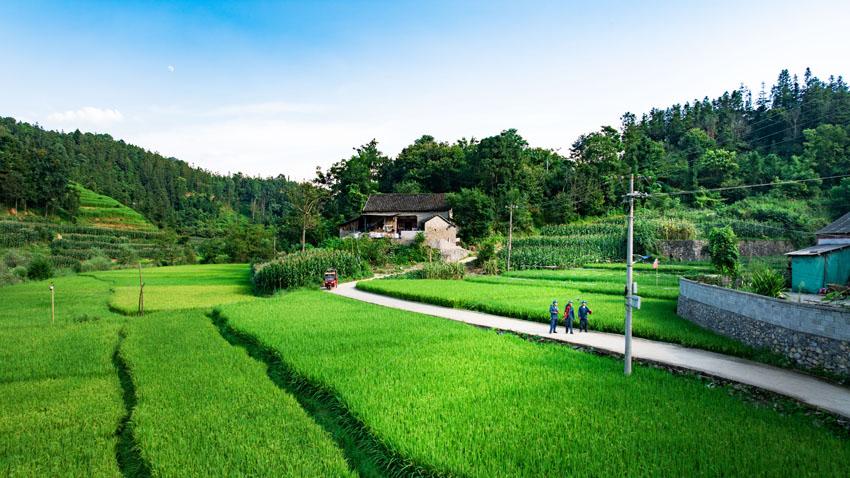 曲靖供電局工作人員巡視電力線路（資料圖）。 杜明彥攝