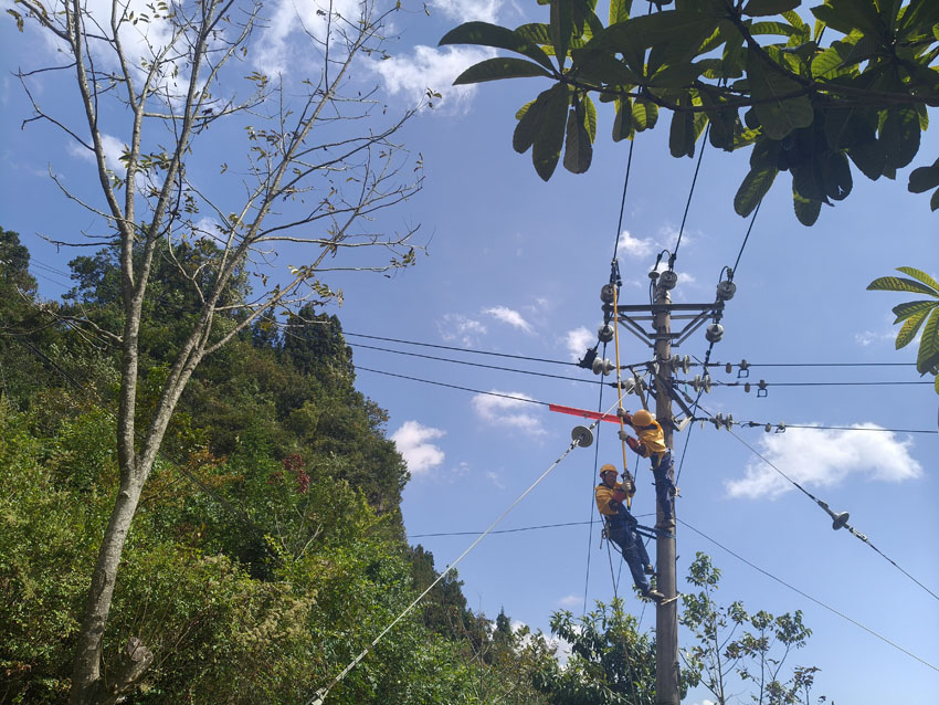 富源供電局工作人員開展帶電作業。陳小果攝