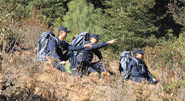 這次巡山“一無所獲”