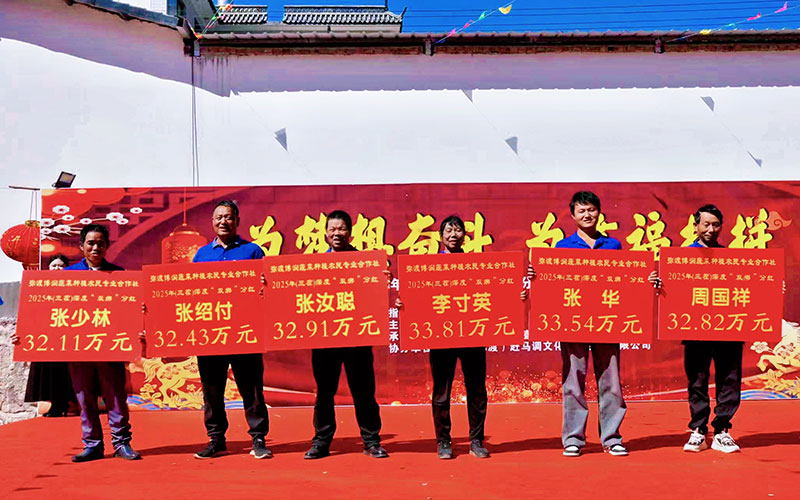 在大荒地村举行的分红大会现场。弥渡县融媒体中心供图