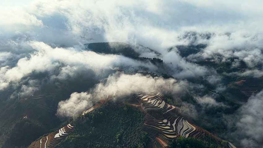 层层梯田与山间薄雾相映成景。绿春县融媒体中心供图