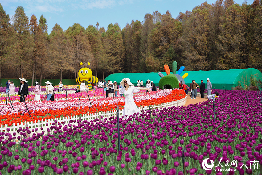 游客在撈漁河國家濕地公園觀賞郁金香。人民網記者 李發興攝