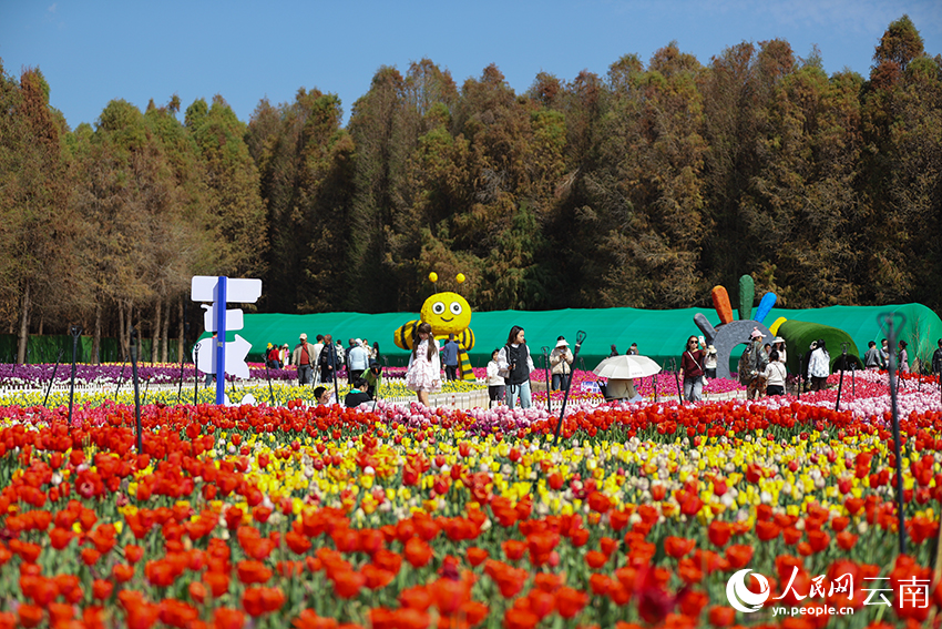 游客在撈漁河國家濕地公園觀賞郁金香。人民網記者 李發興攝
