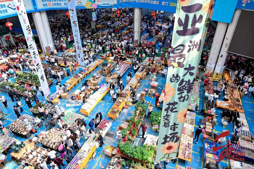 2斗南花市。呈貢區融媒體中心供圖