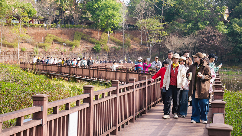 游客們沿著棧道漫步，或駐足拍照，或憑欄遠眺，盡情領略“天然氧吧”的獨特魅力。艾嘎攝