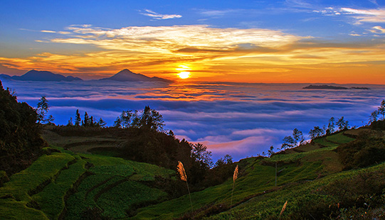 云南麻栗坡：“红绿边”绘就兴边富民新图景