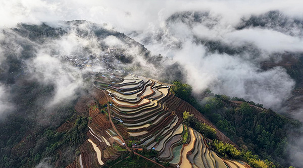 云南绿春：云雾漫山巅 梯田绘春光