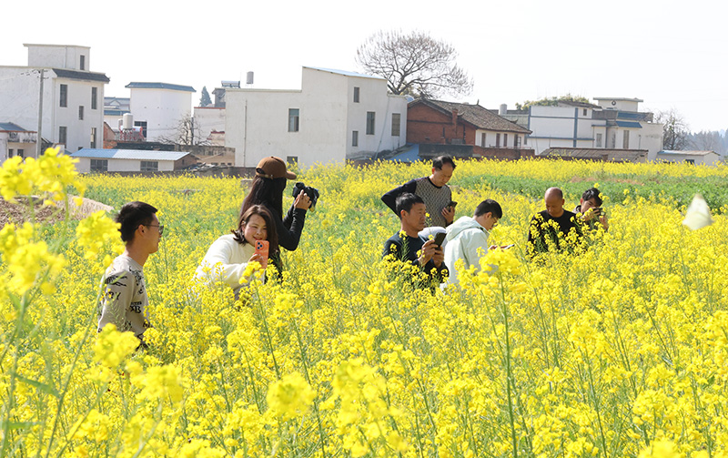 游客在花海中拍照。