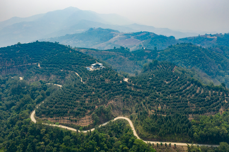 堅果漫山遍野。