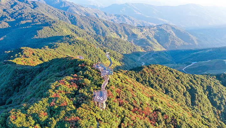 茶王步道观景台。王梓骁摄
