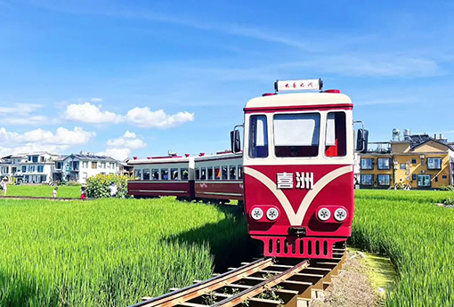 2025大理文旅“成绩单”亮眼