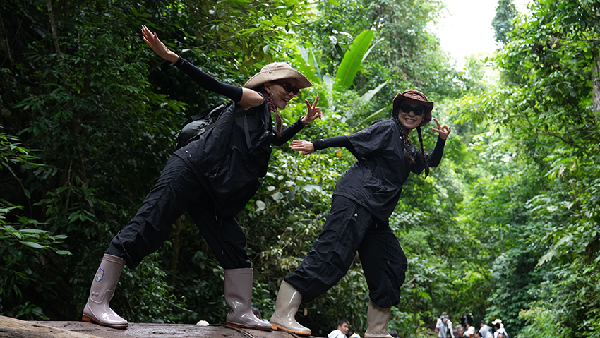游客在西双版纳享受雨林徒步。