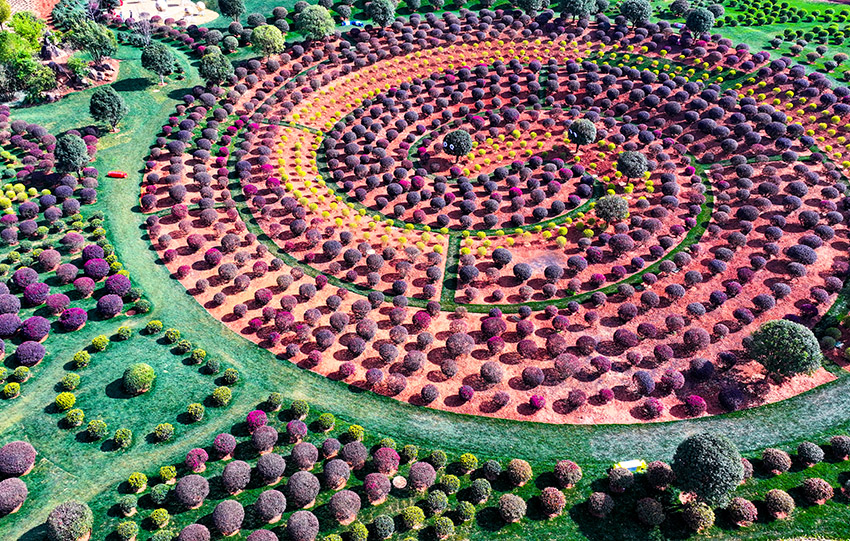 弥勒“球球园”景观。弥勒市委宣传部供图