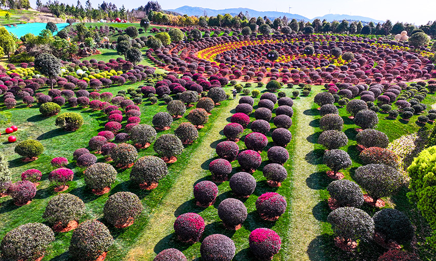 弥勒“球球园”景观。弥勒市委宣传部供图