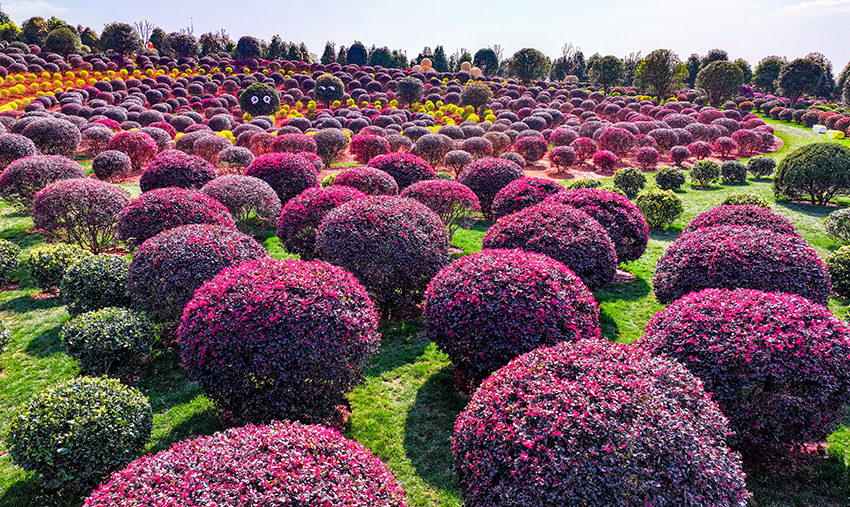 弥勒“球球园”景观。弥勒市委宣传部供图