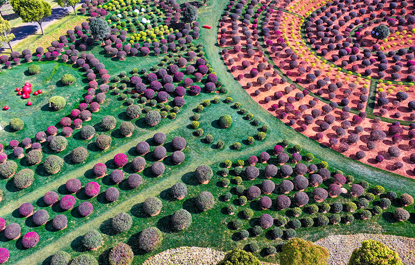 弥勒“球球园”景观。弥勒市委宣传部供图