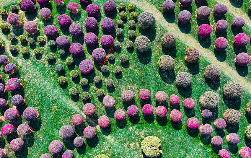 弥勒“球球园”景观。弥勒市委宣传部供图