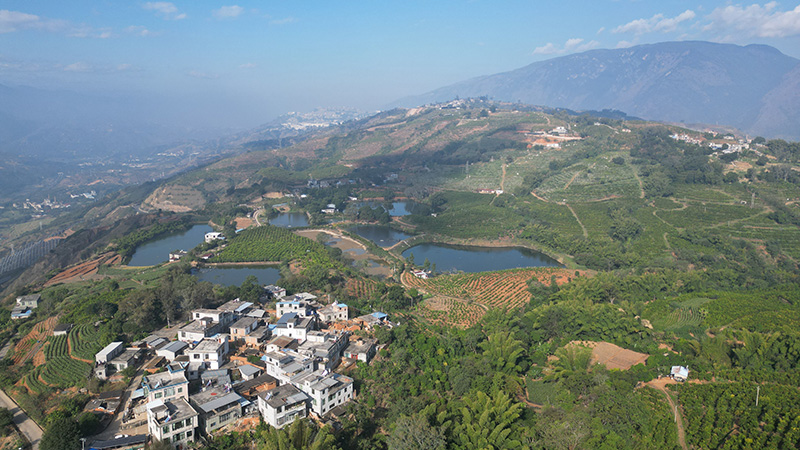 紅河谷熱區高效節水灌溉產業區（毛敬華攝20250211）