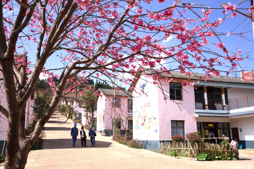 曲靖師宗供電局工作人員開展用戶走訪。王瑛攝