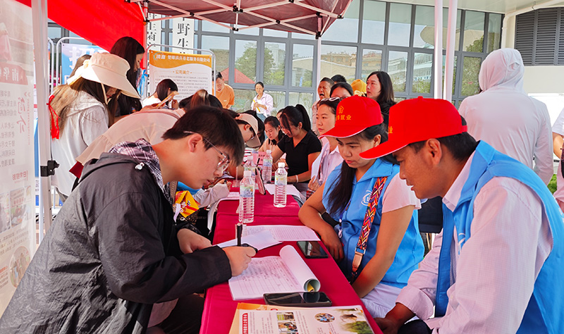 菌工招聘现场。南华县委宣传部供图