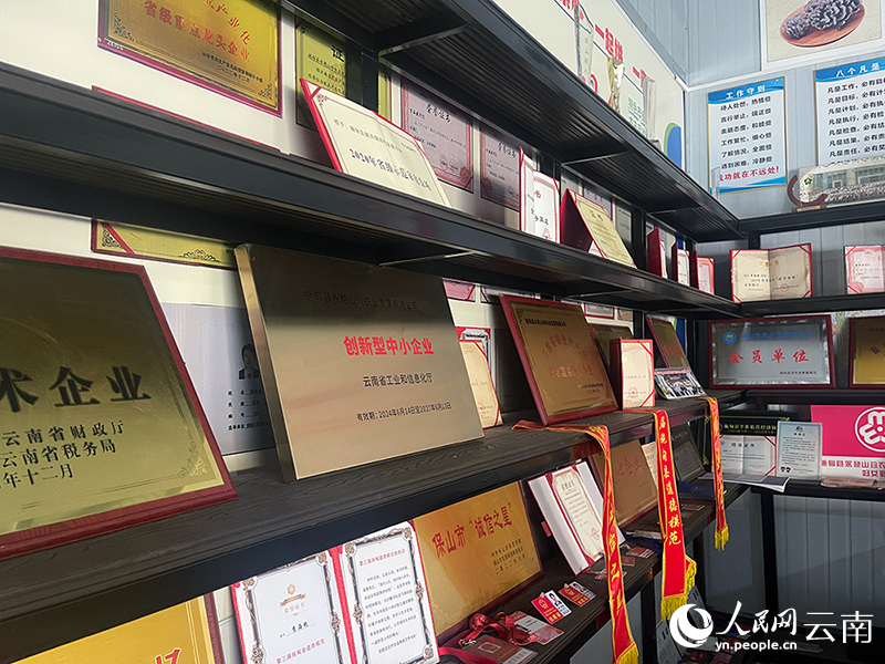 李海艳的公司这些年获得了不少荣誉。人民网记者-程浩摄