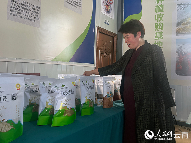 李海艳介绍公司产品。人民网记者-程浩摄