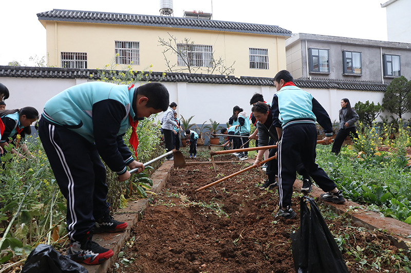 同学们在老师的带领下开展锄草、翻土等劳动实践。