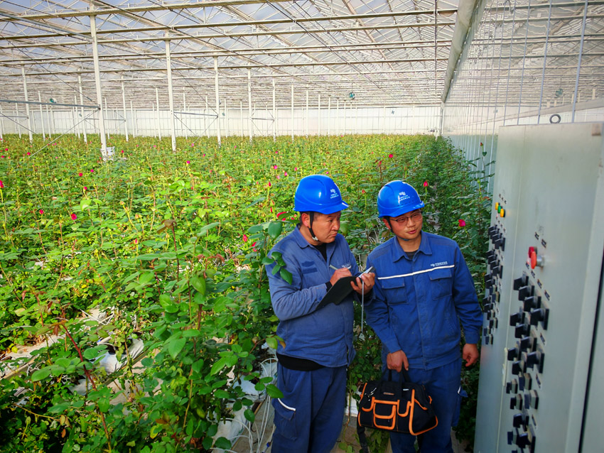 麗江古城供電局的供電服務人員在花卉基地開展用電設備檢查。 (田學)