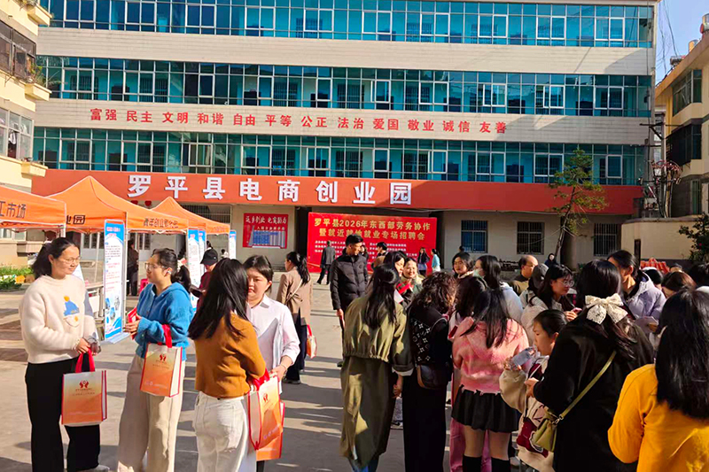 羅平零工市場招聘會。