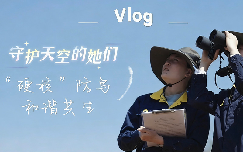 VLOG︱她們守護著天空，驅鳥也護鳥