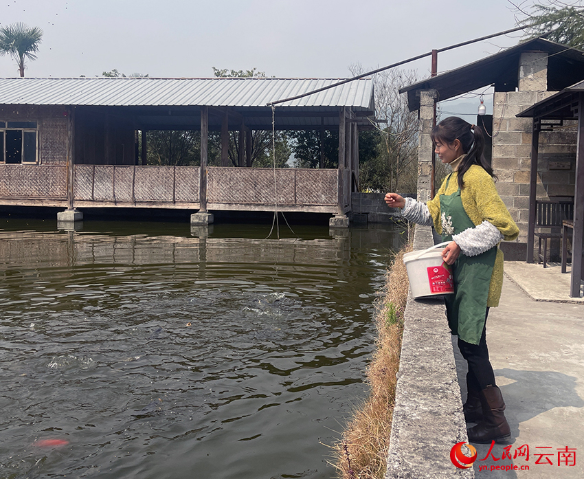 【2】陈文杏正在喂鱼。人民网记者-程浩摄