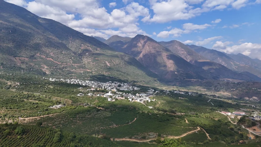 被咖啡环绕的新寨村。杨艳鹏 摄