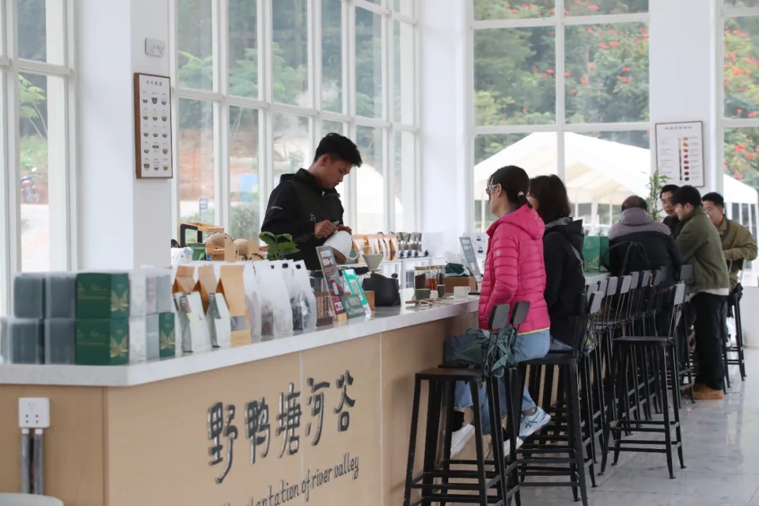 游客在普洱市野鸭塘河谷咖啡庄园体验咖啡产品。高吴双 摄