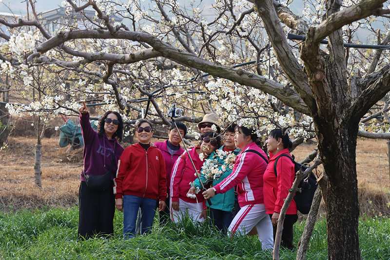 游客拍照打卡。馬素萍攝