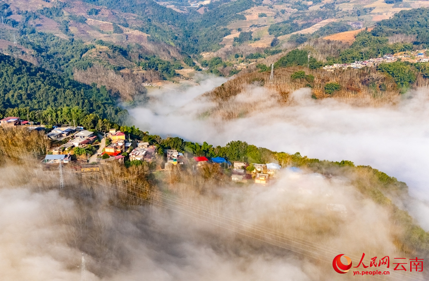 雲海、橡膠林與村庄相映成景。人民網記者 虎遵會攝