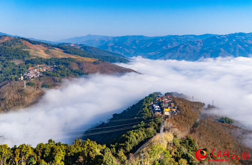 雲海、橡膠林與村庄相映成景。人民網記者 虎遵會攝