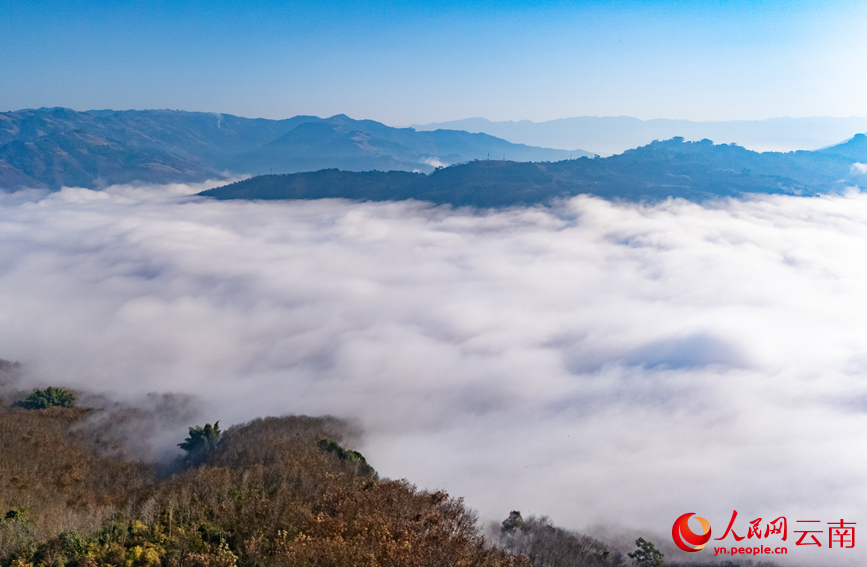 在西盟縣拍攝的壯美雲海景觀。人民網記者 虎遵會攝