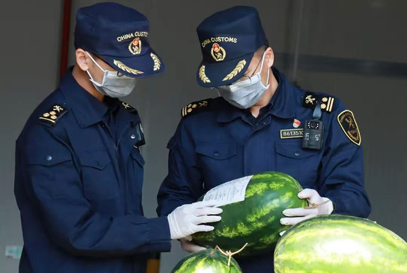 2025年12月11日，首批緬甸進口西瓜通過監管場地順利進境。臨滄市委宣傳部供圖