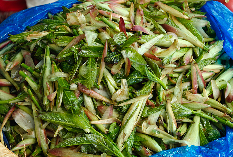 酸包菜。勐海县融媒体中心供图