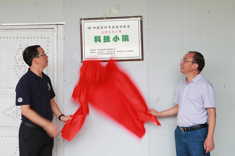 东川首家国家级科技小院挂牌