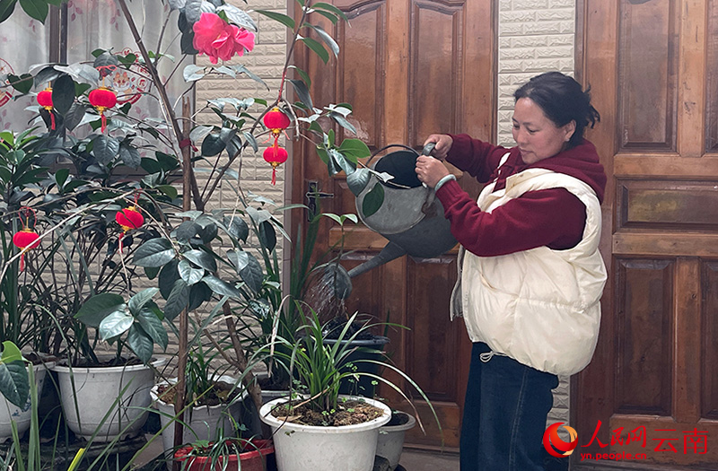 劉明芬忙裡偷閑，給家裡的綠植澆水。人民網記者-程浩攝