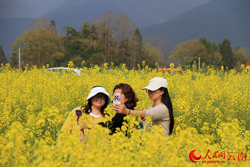 游客在油菜花田裡拍照打卡。人民網記者 程浩攝