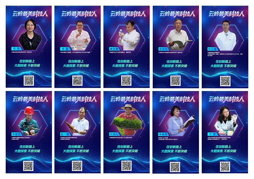 2025年10位“云岭最美科技人”获选人。云南省科技厅供图