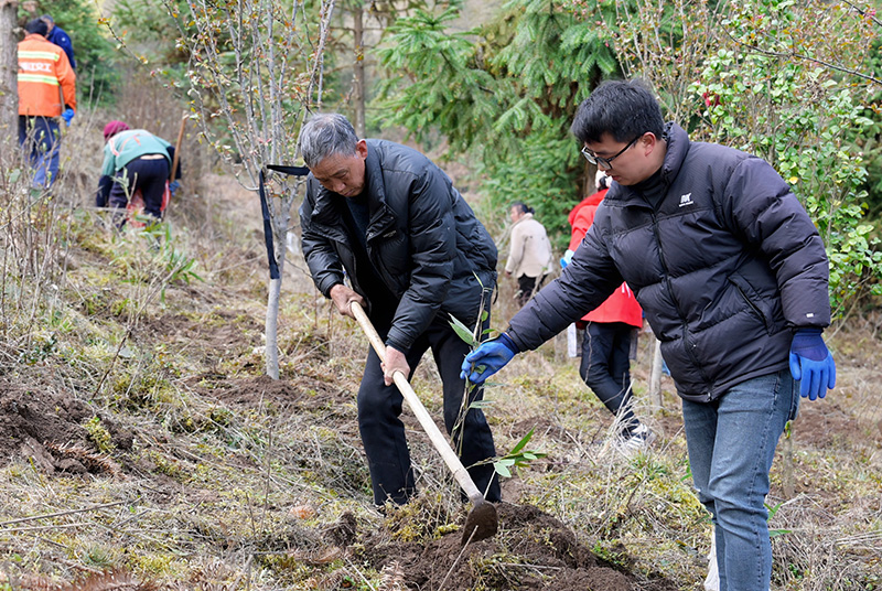 两省干部共同栽下250棵竹子、山茶等适生绿植。
