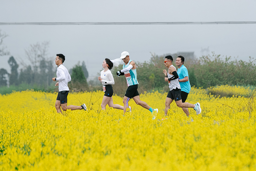 选手在罗平近百万亩油菜花海中感受运动的魅力。主办方供图
