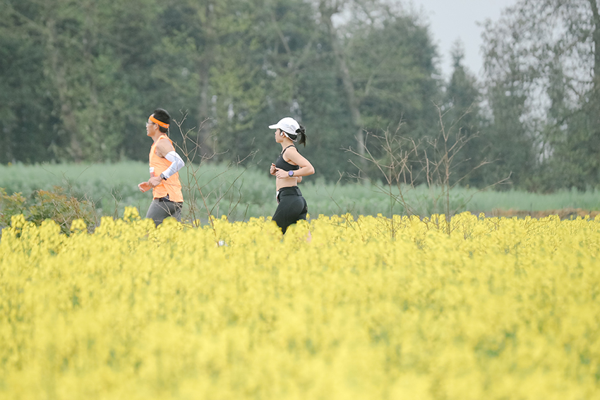 选手在花海中奔跑。主办方供图