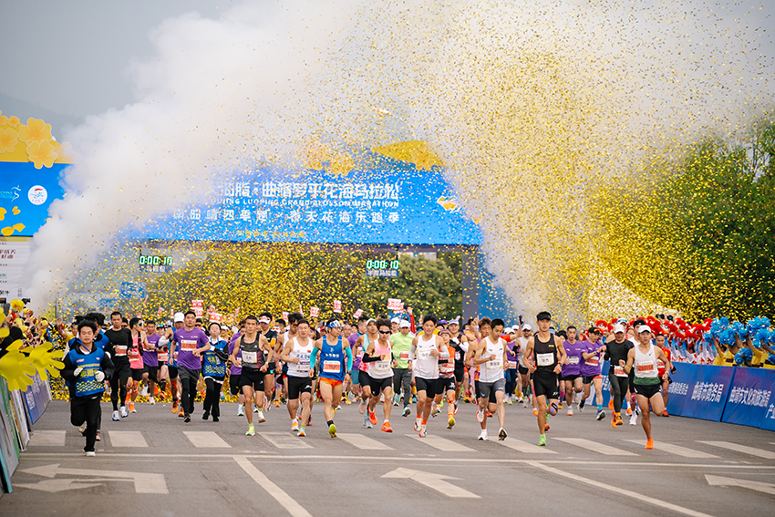 2026曲靖罗平花海马拉松鸣枪开跑。主办方供图