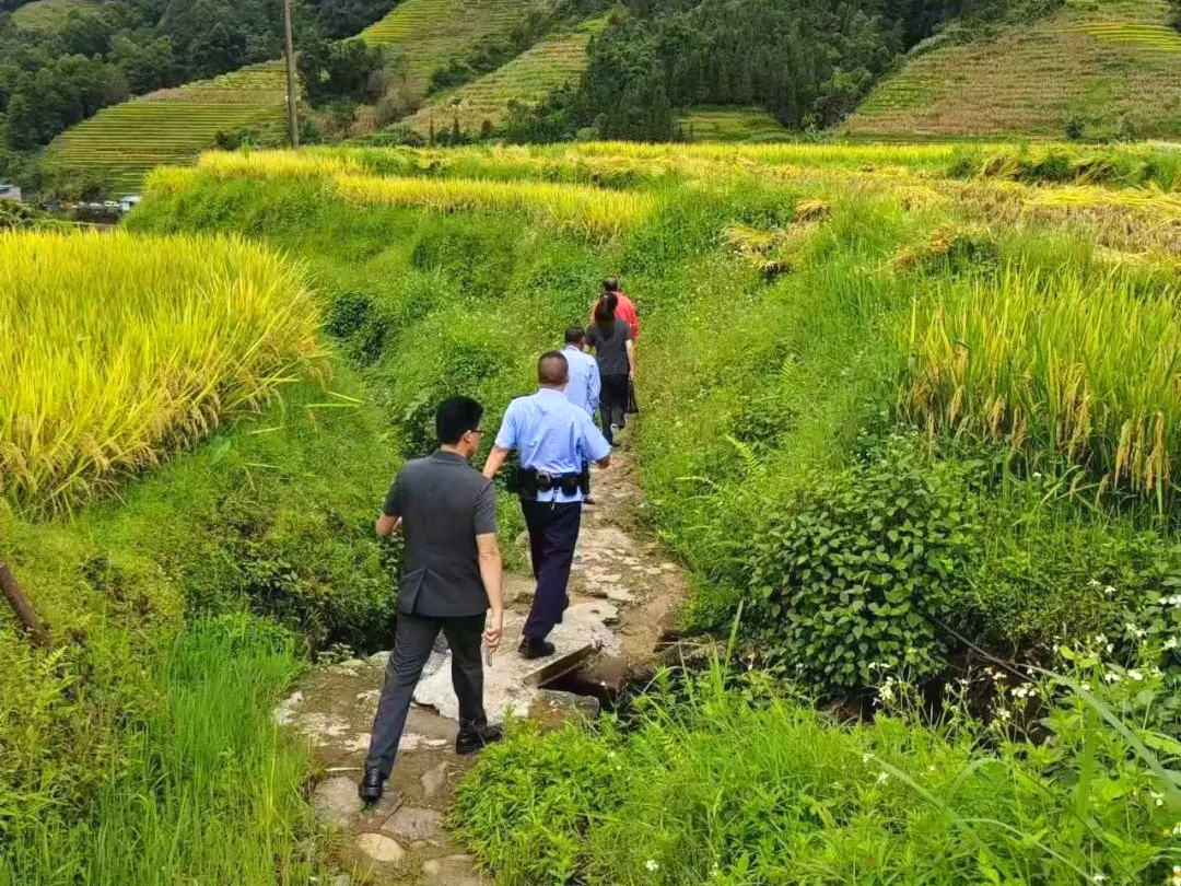 【2】金平县法院结合四季特点,组织开展“莺飞”“赤练”“秋锋”“冰剑”四季专项执行行动。红河州中级人民法院供图