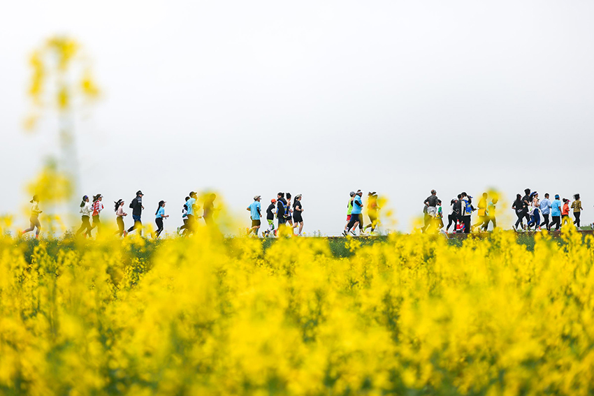 跑者在花海中奔跑。主办方供图
