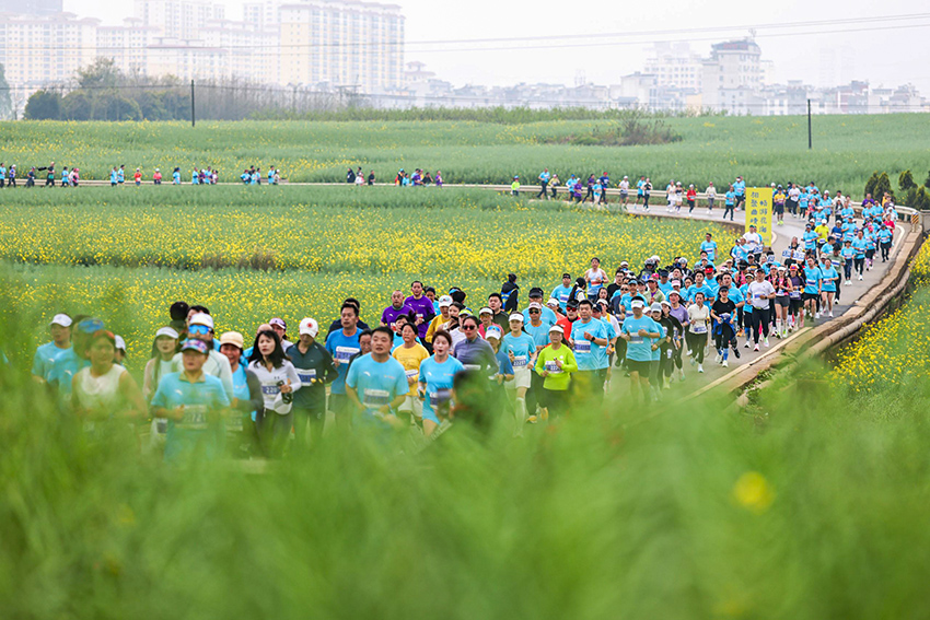 3跑者在花海中奔跑。主办方供图